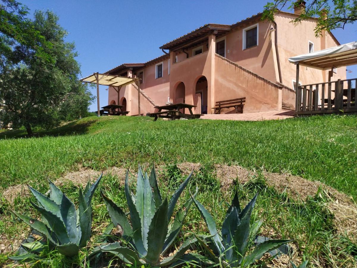 Antonella House -Podere Della Collina Палая Екстериор снимка