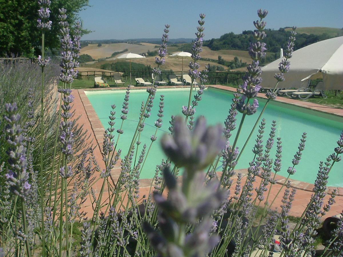 Antonella House -Podere Della Collina Палая Екстериор снимка